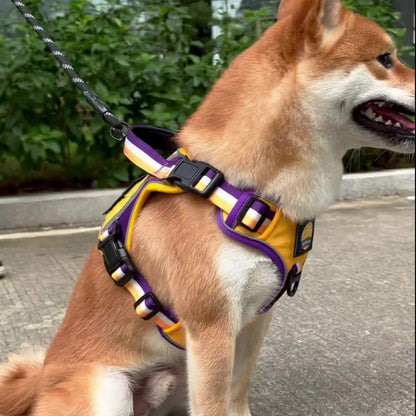 Sporty Basketball Style Dog Harness and Leash Set