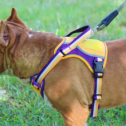 Sporty Basketball Style Dog Harness and Leash Set