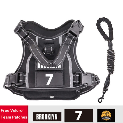 Sporty Basketball Style Dog Harness and Leash Set