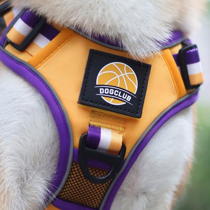 Sporty Basketball Style Dog Harness and Leash Set