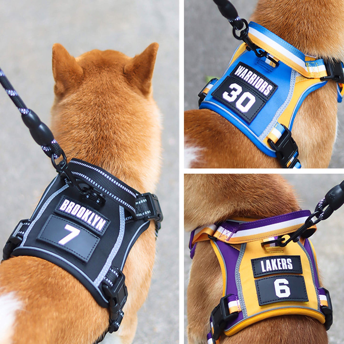 Sporty Basketball Style Dog Harness and Leash Set