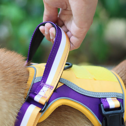 Sporty Basketball Style Dog Harness and Leash Set