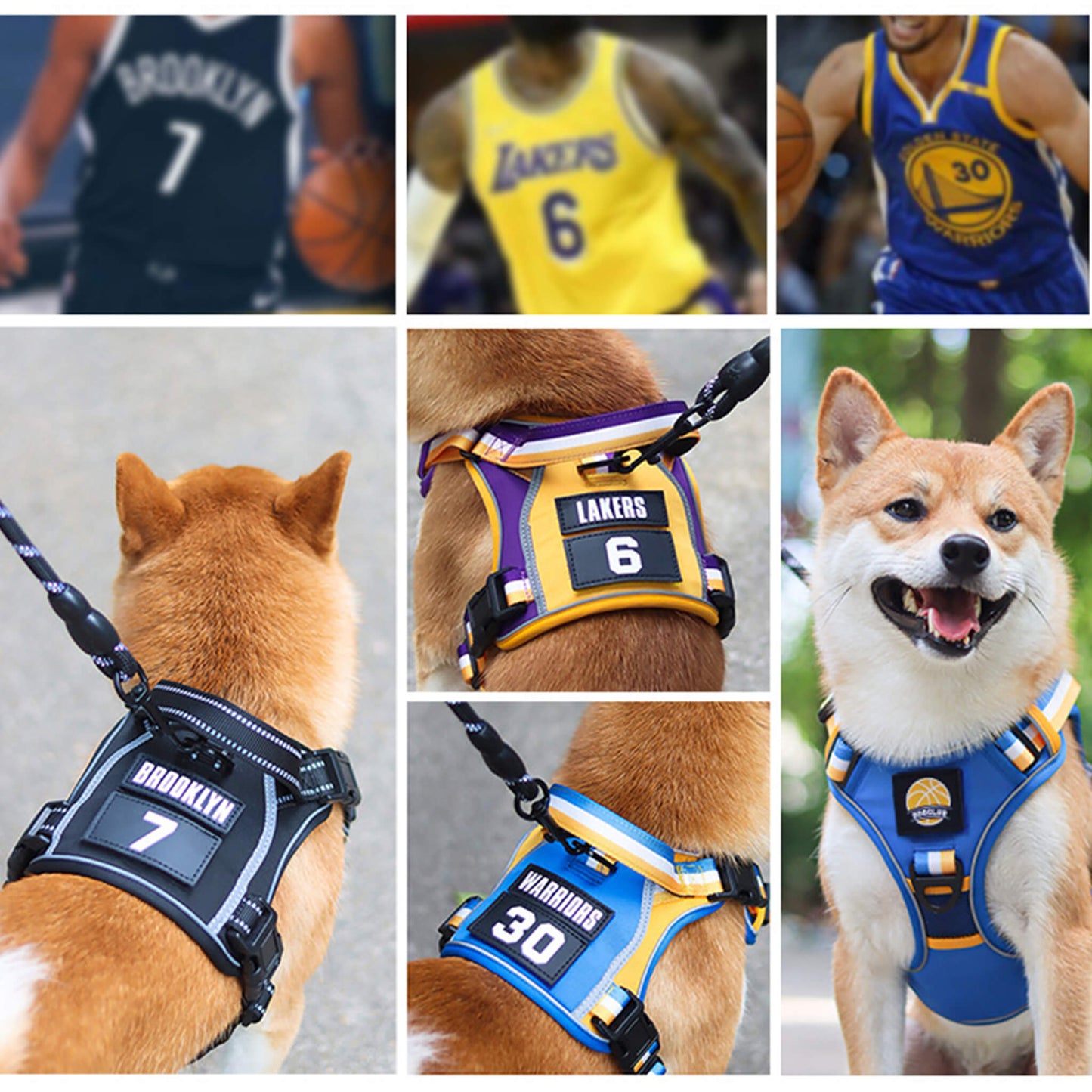 Sporty Basketball Style Dog Harness and Leash Set