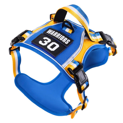 Sporty Basketball Style Dog Harness and Leash Set