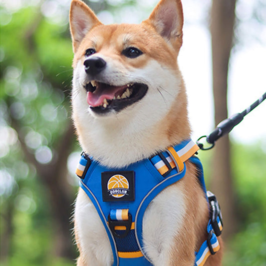 Sporty Basketball Style Dog Harness and Leash Set