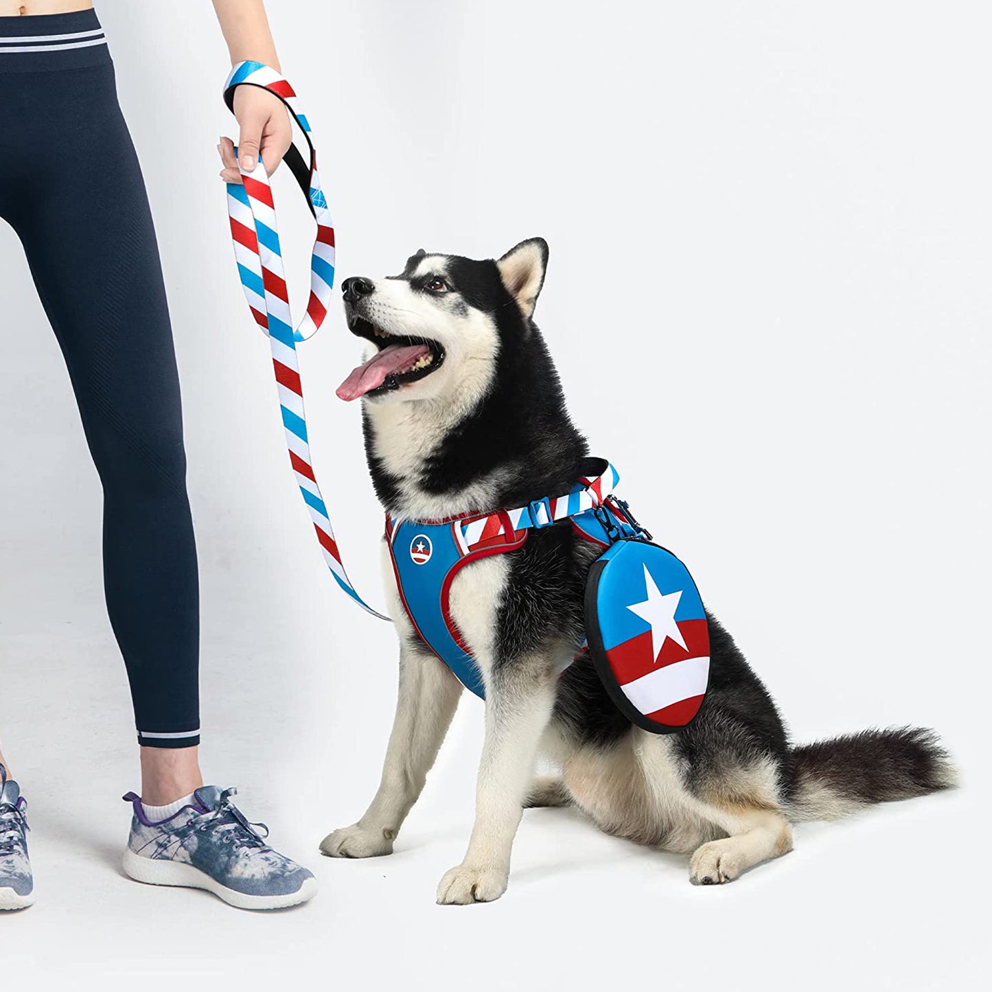 Captain America Design Dog Harness and Leash Set