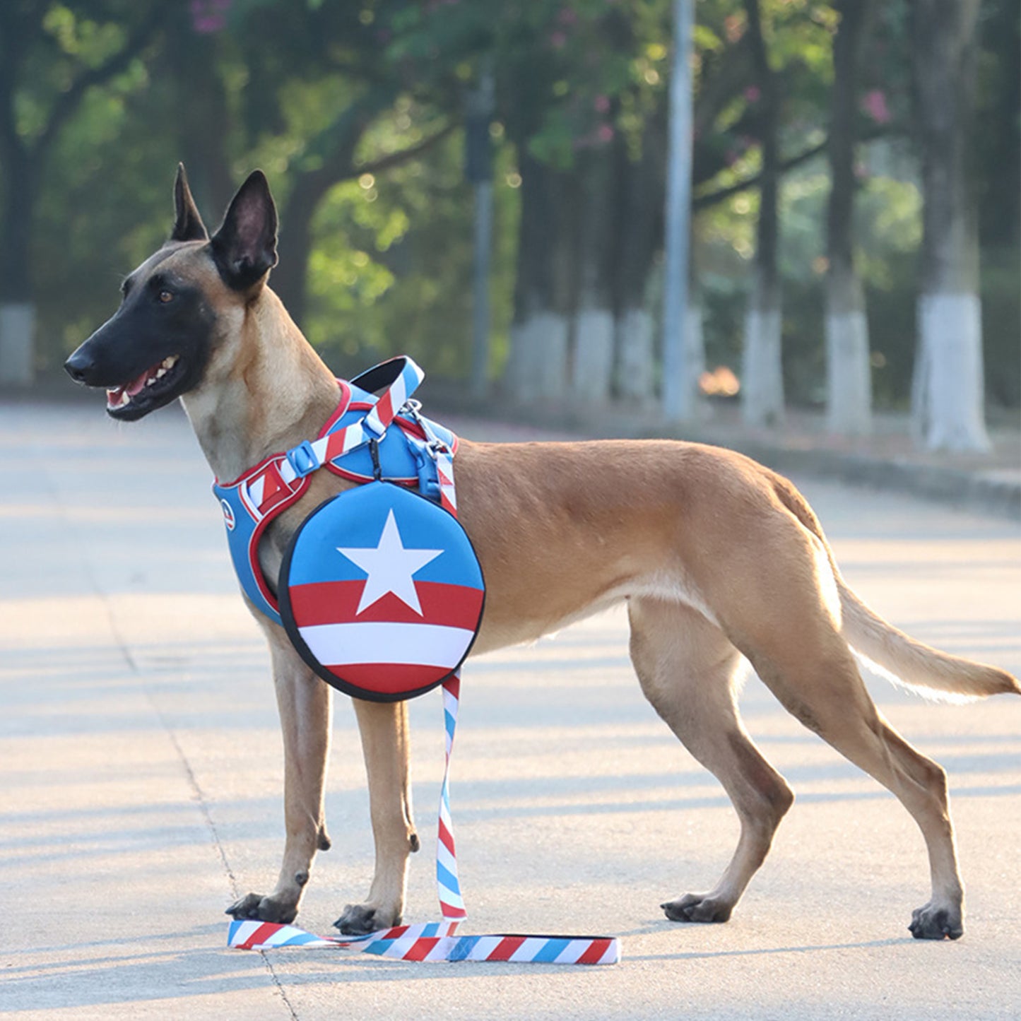 Captain America Design Dog Harness and Leash Set