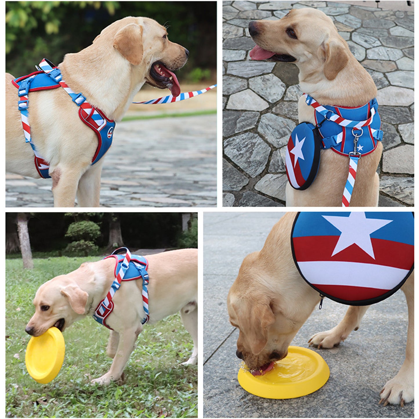 Captain America Design Dog Harness and Leash Set