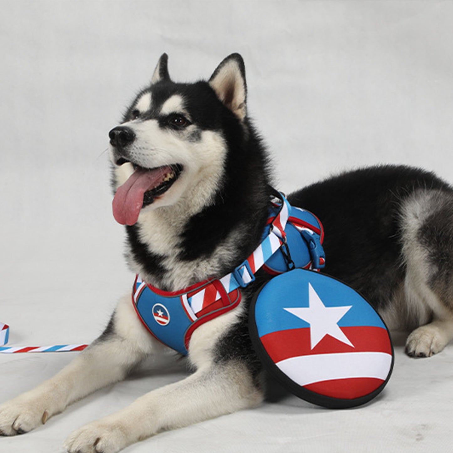 Captain America Design Dog Harness and Leash Set