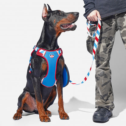 Captain America Design Dog Harness and Leash Set