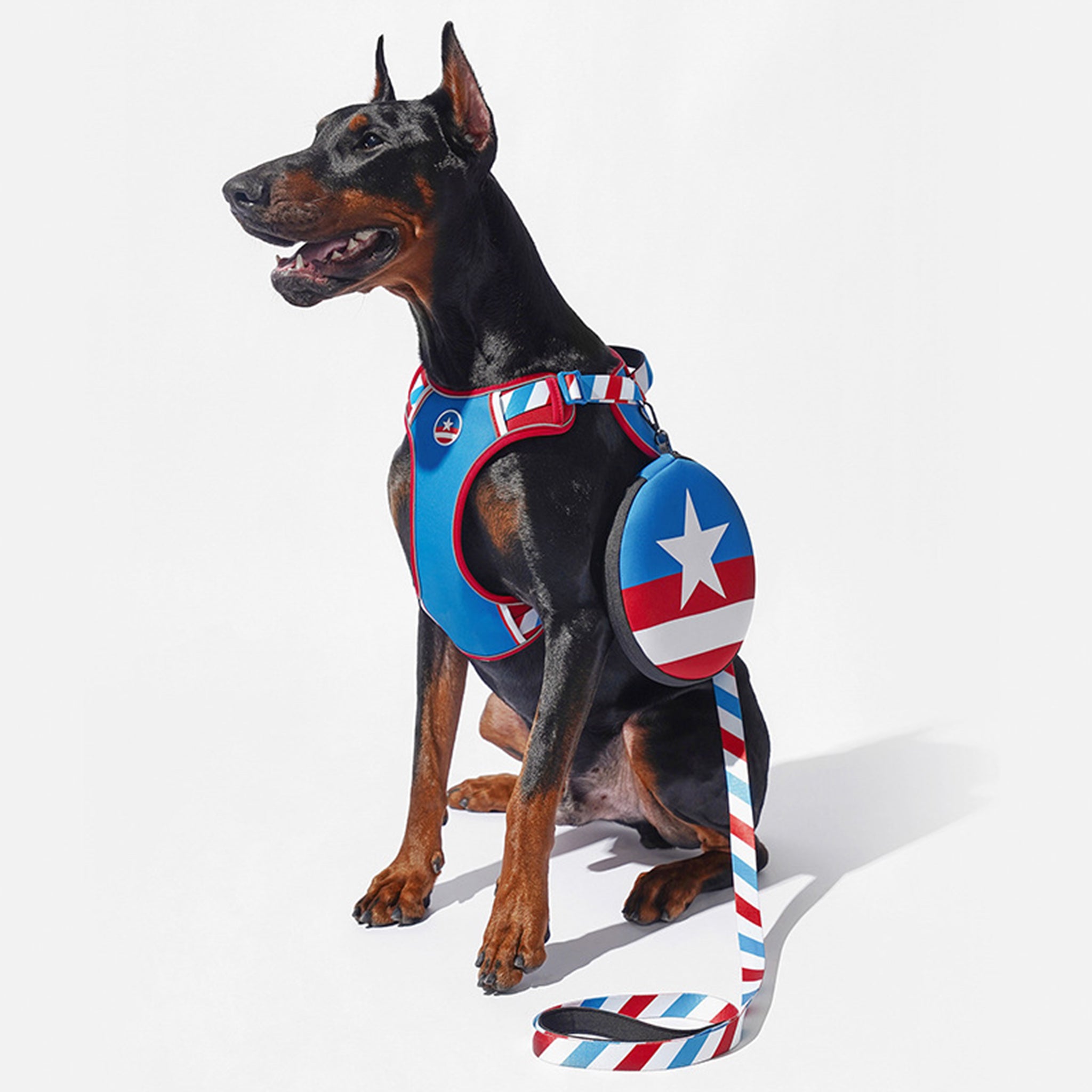 Captain marvel hot sale dog harness