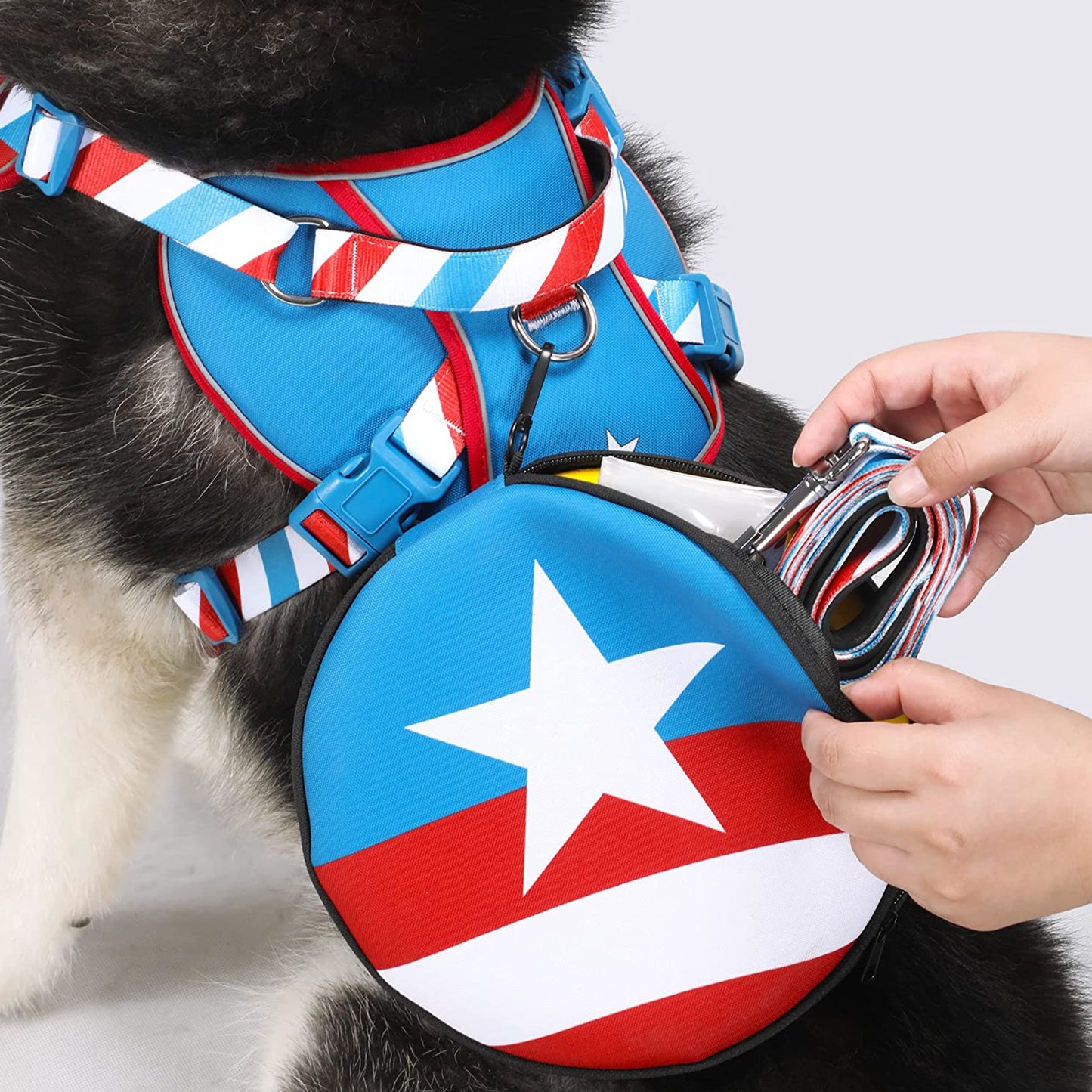 Captain America Design Dog Harness and Leash Set