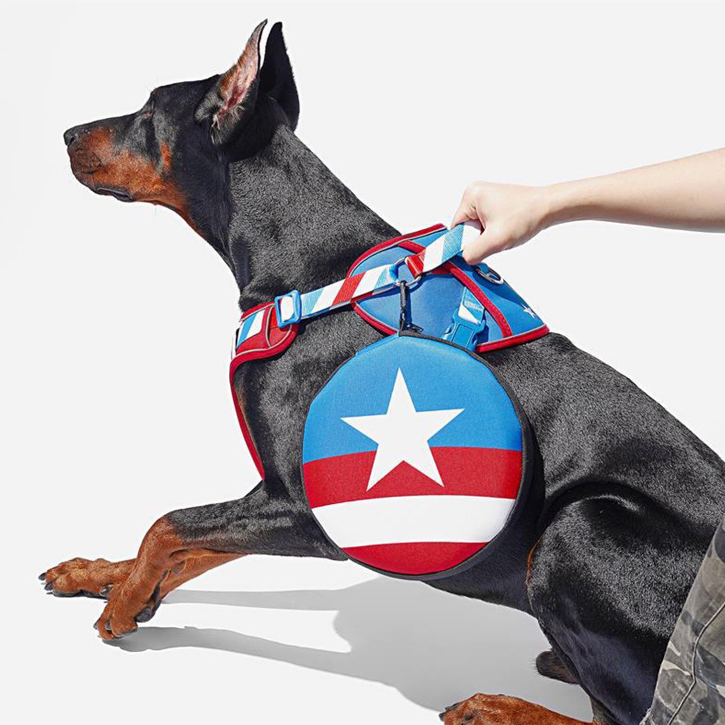 Captain America Design Dog Harness and Leash Set