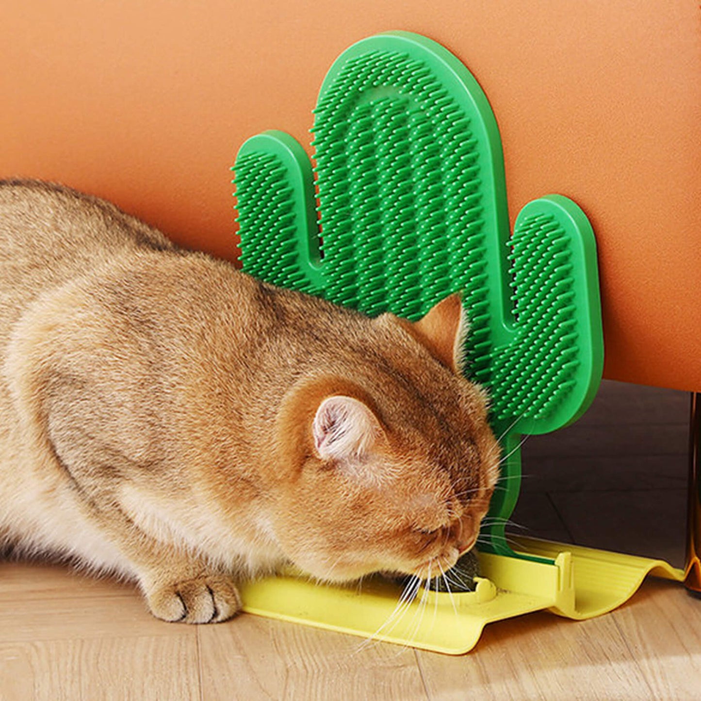 Cute Cactus Scratcher for Cats with Catnip