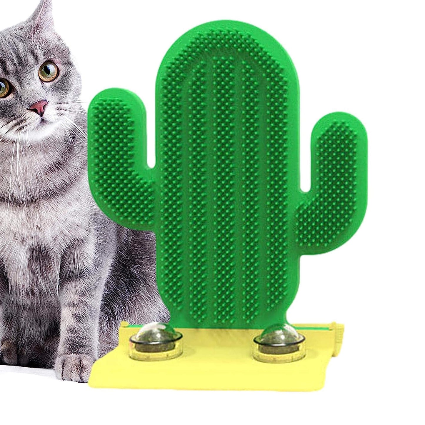 Cute Cactus Scratcher for Cats with Catnip