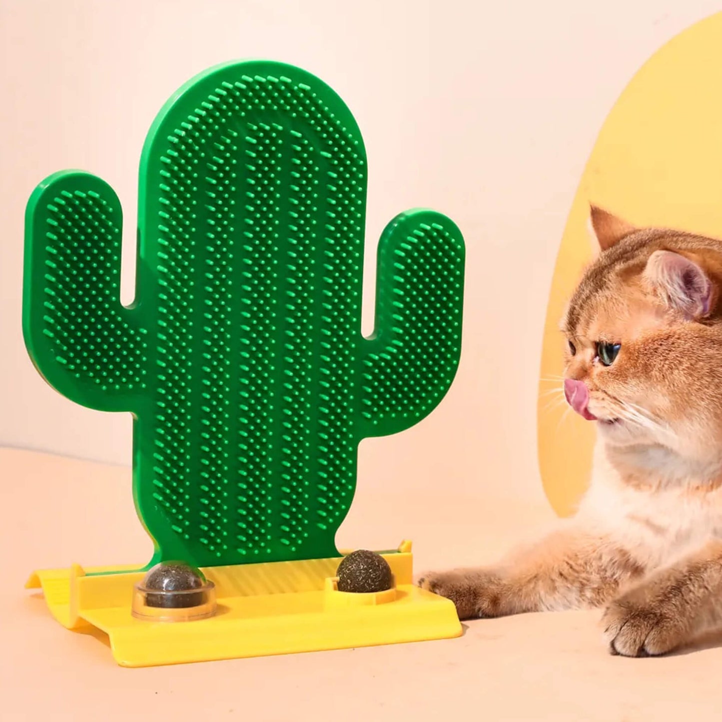 Cute Cactus Scratcher for Cats with Catnip