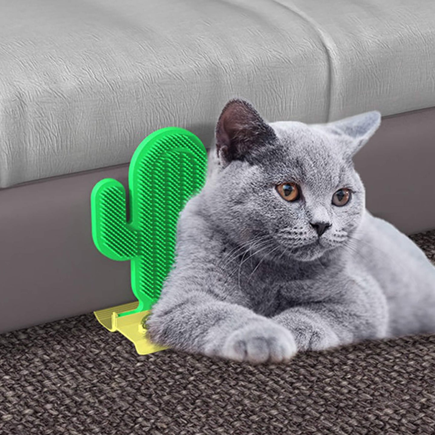 Cute Cactus Scratcher for Cats with Catnip