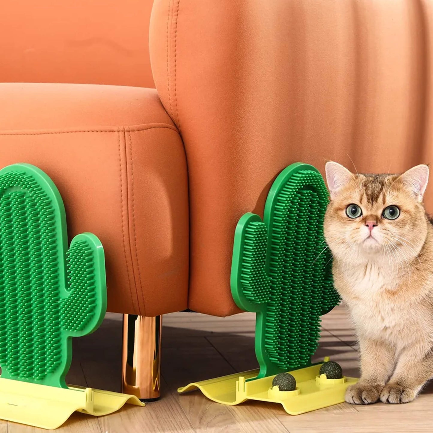 Cute Cactus Scratcher for Cats with Catnip