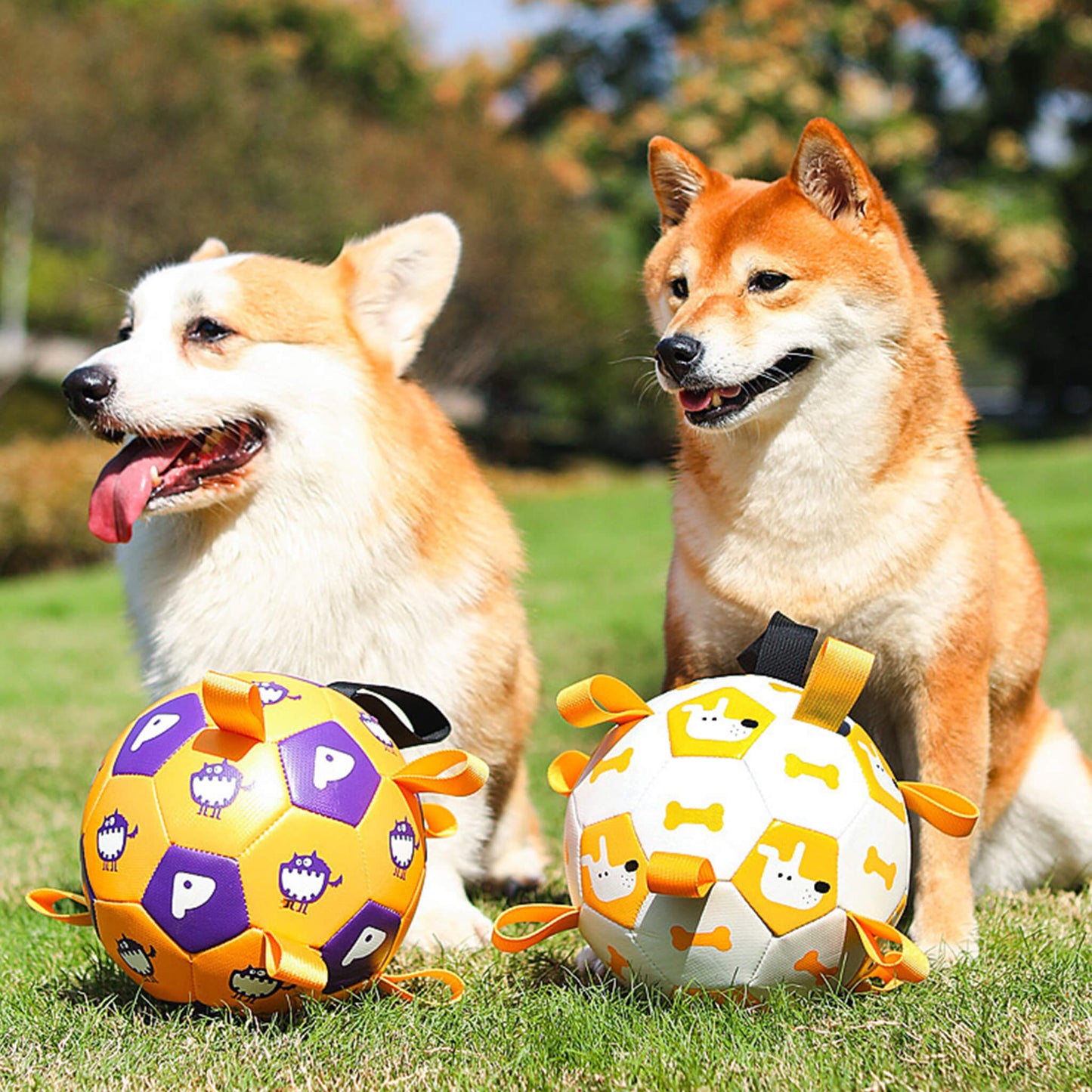 Dog Interactive Football Toys Dogs Soccer Ball
