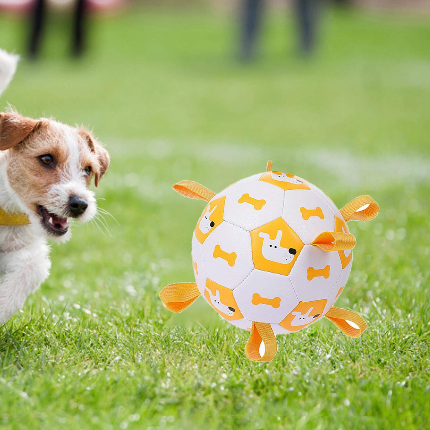 Dog Interactive Football Toys Dogs Soccer Ball