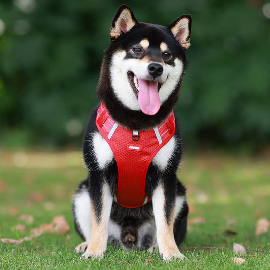 Oxford Reflective Dog Vest Harness