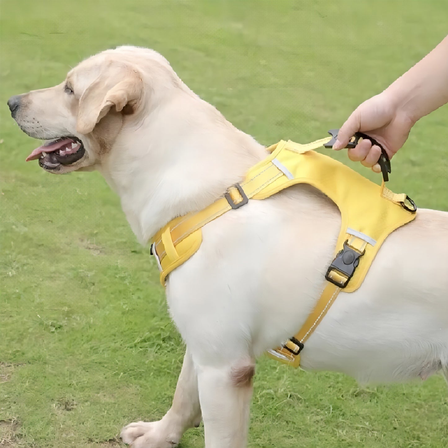 Oxford Reflective Dog Vest Harness