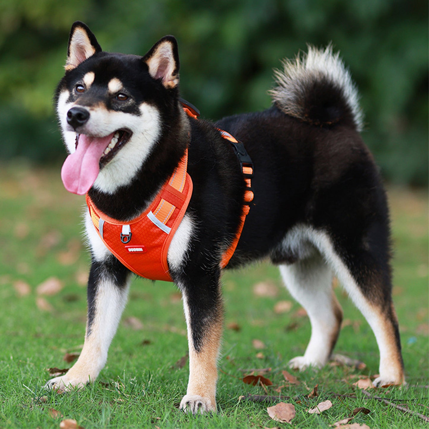 Oxford Reflective Dog Vest Harness