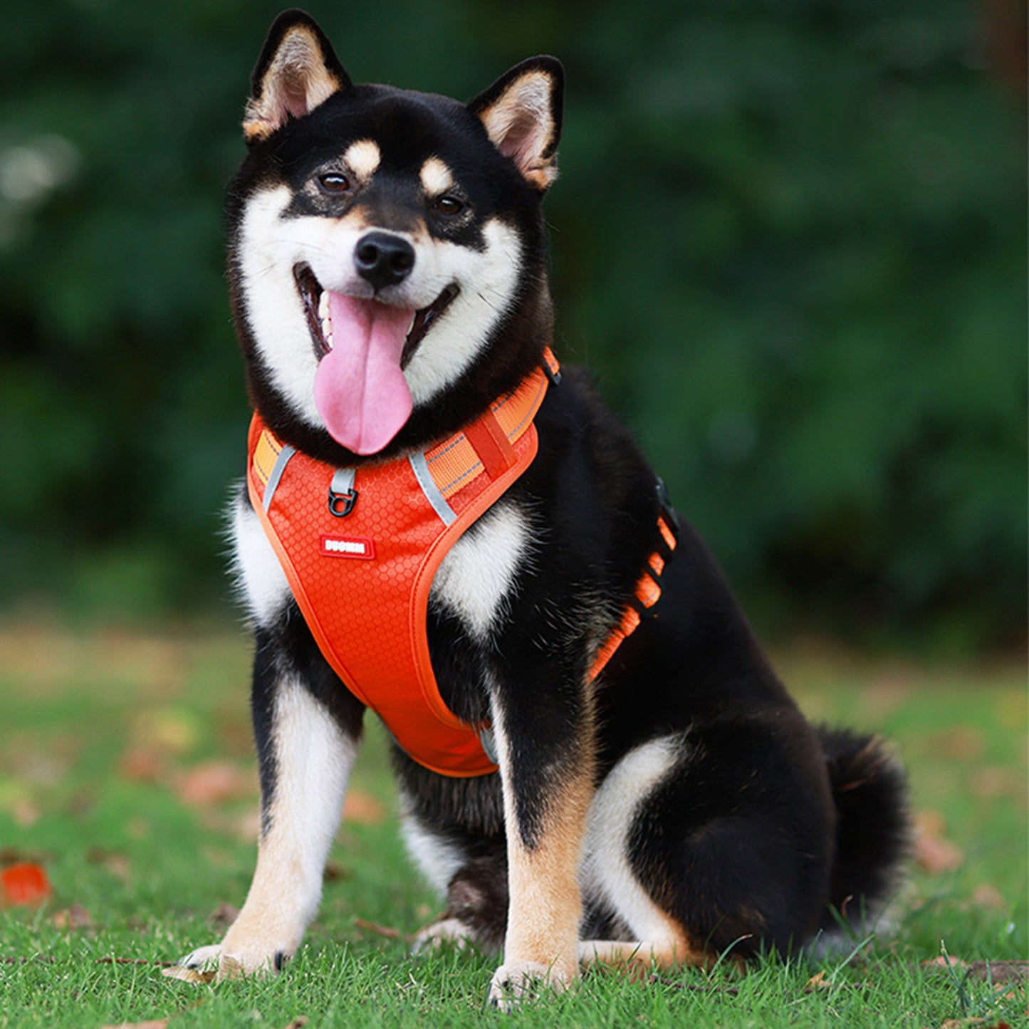 Oxford Reflective Dog Vest Harness