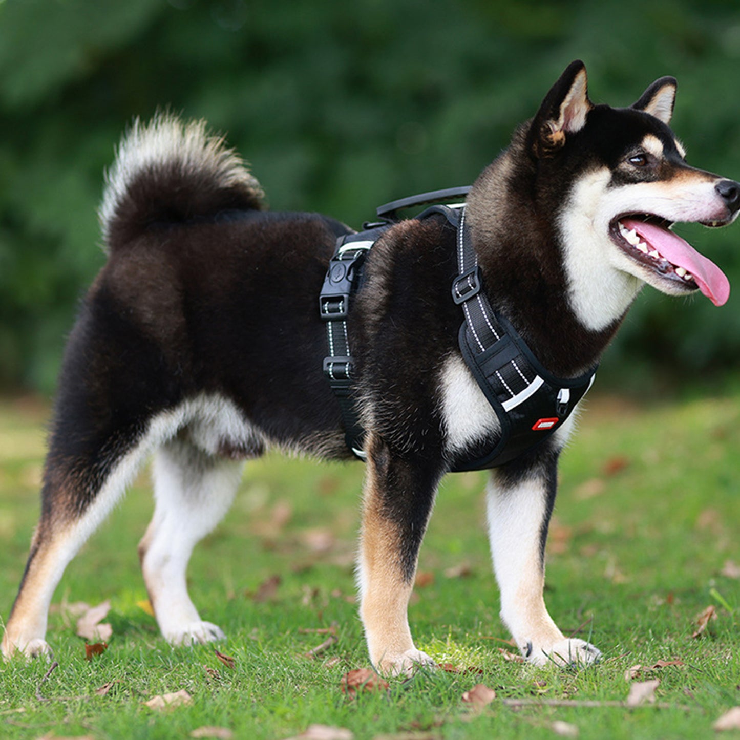 Oxford Reflective Dog Vest Harness