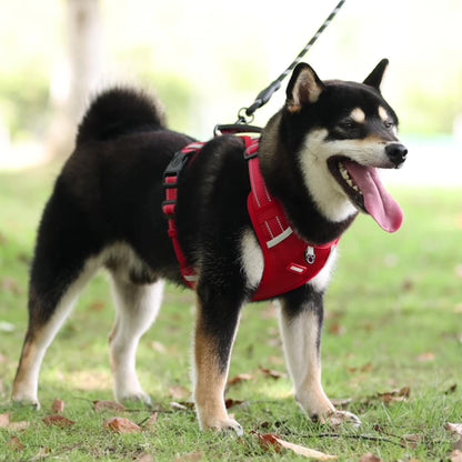 Oxford Reflective Dog Vest Harness