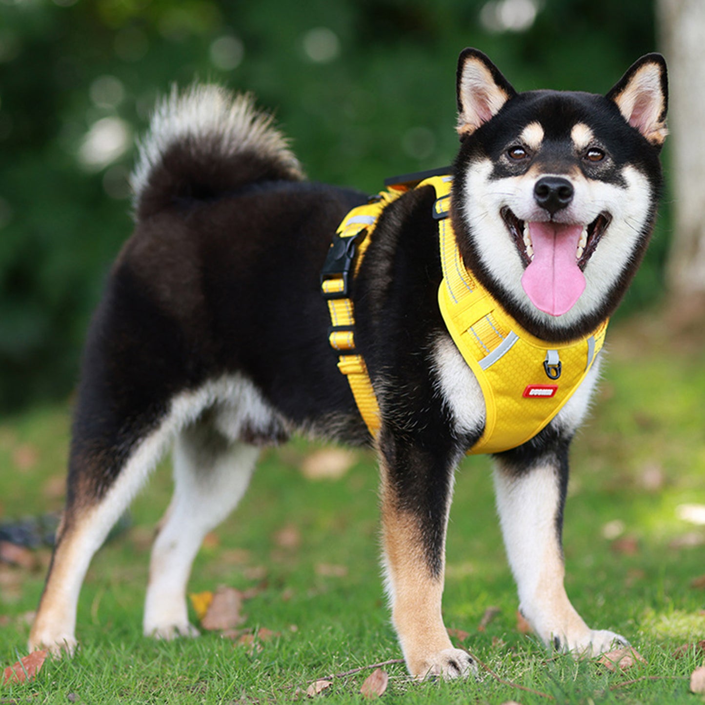 Oxford Reflective Dog Vest Harness