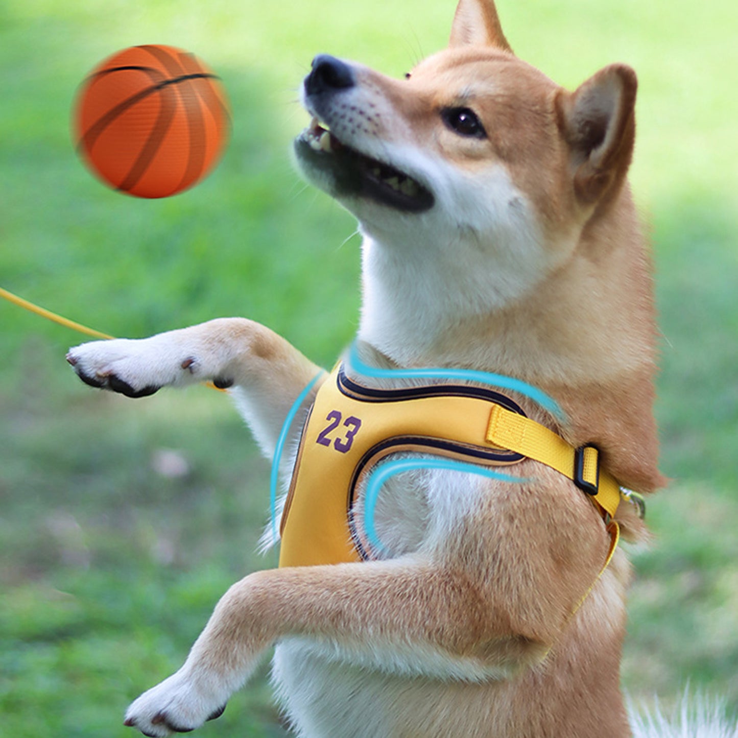 Basketball Player Style Dog Harnesses Escape Free