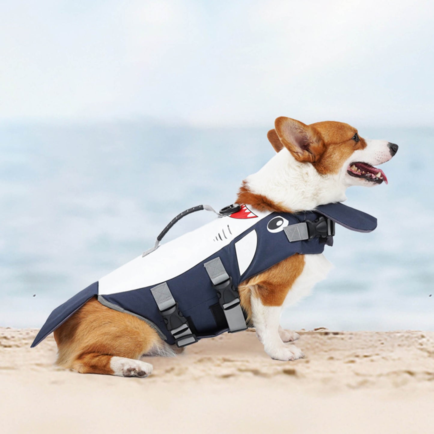 Summer Dog Shark Life Jacket Swimwear