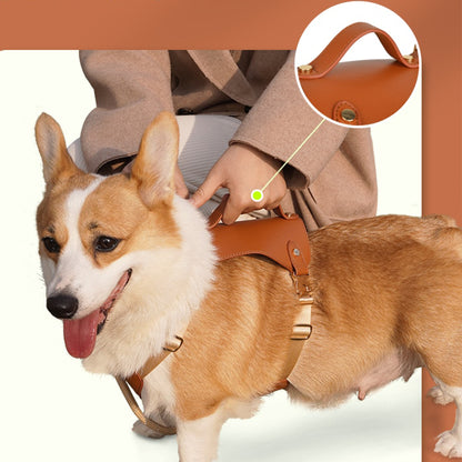 Waterproof Leather Dog Harness Leash Set