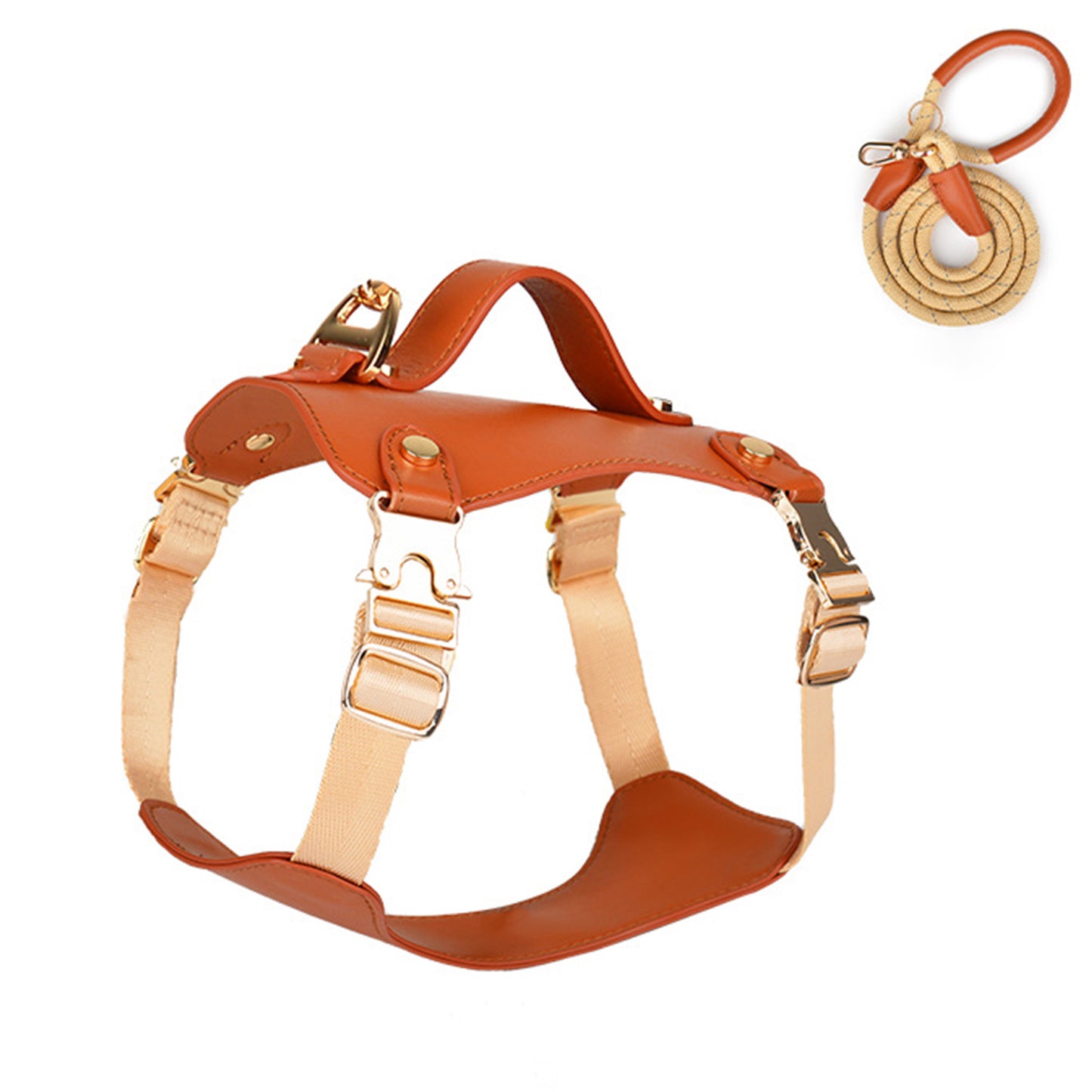 Waterproof Leather Dog Harness Leash Set