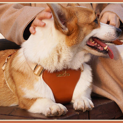 Waterproof Leather Dog Harness Leash Set