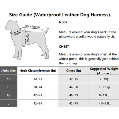 Waterproof Leather Dog Harness Leash Set