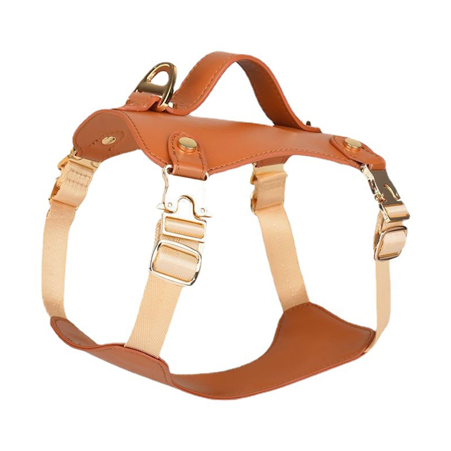 Waterproof Leather Dog Harness Leash Set