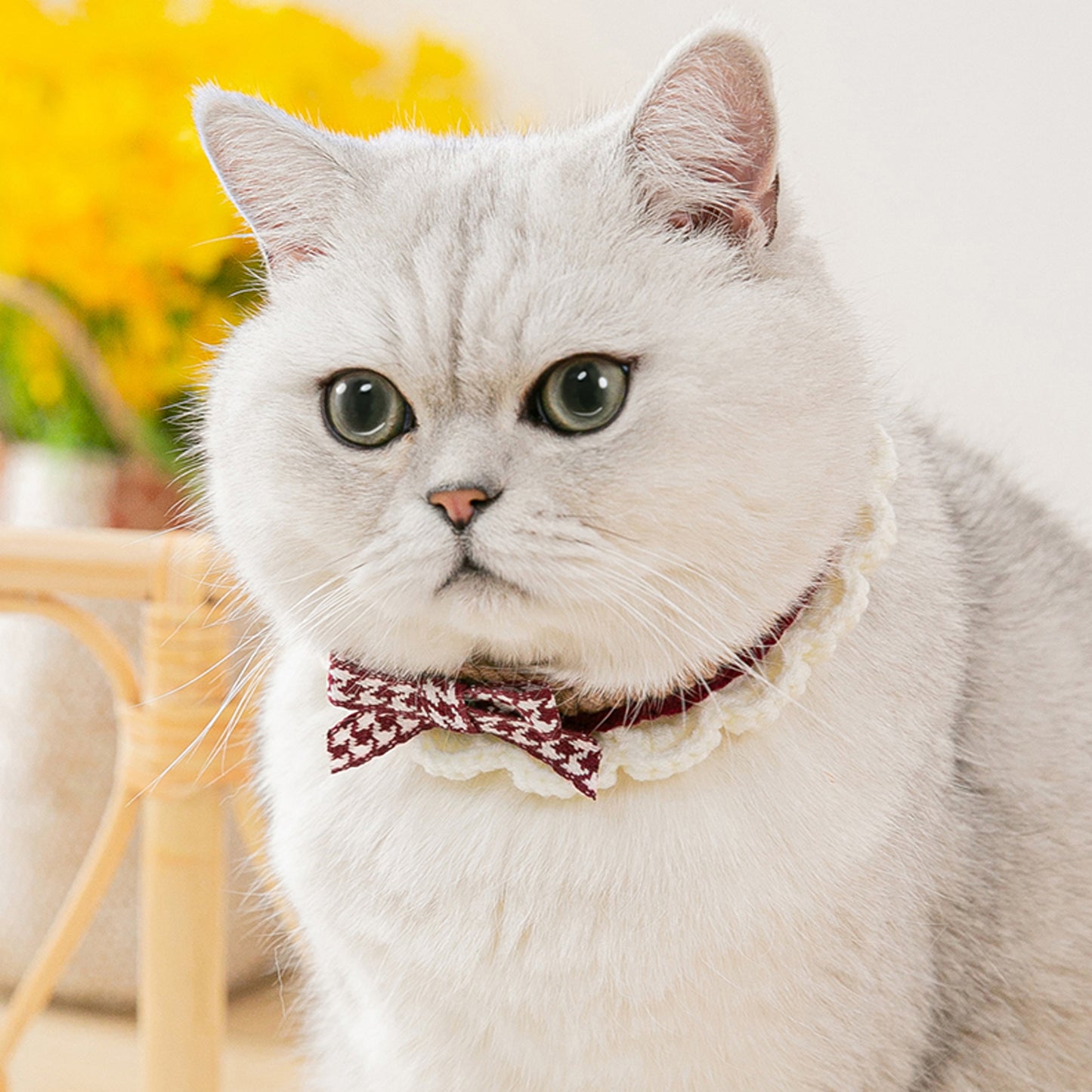 Lovely Crochet Pet Collar Cat Dog Neckwear.