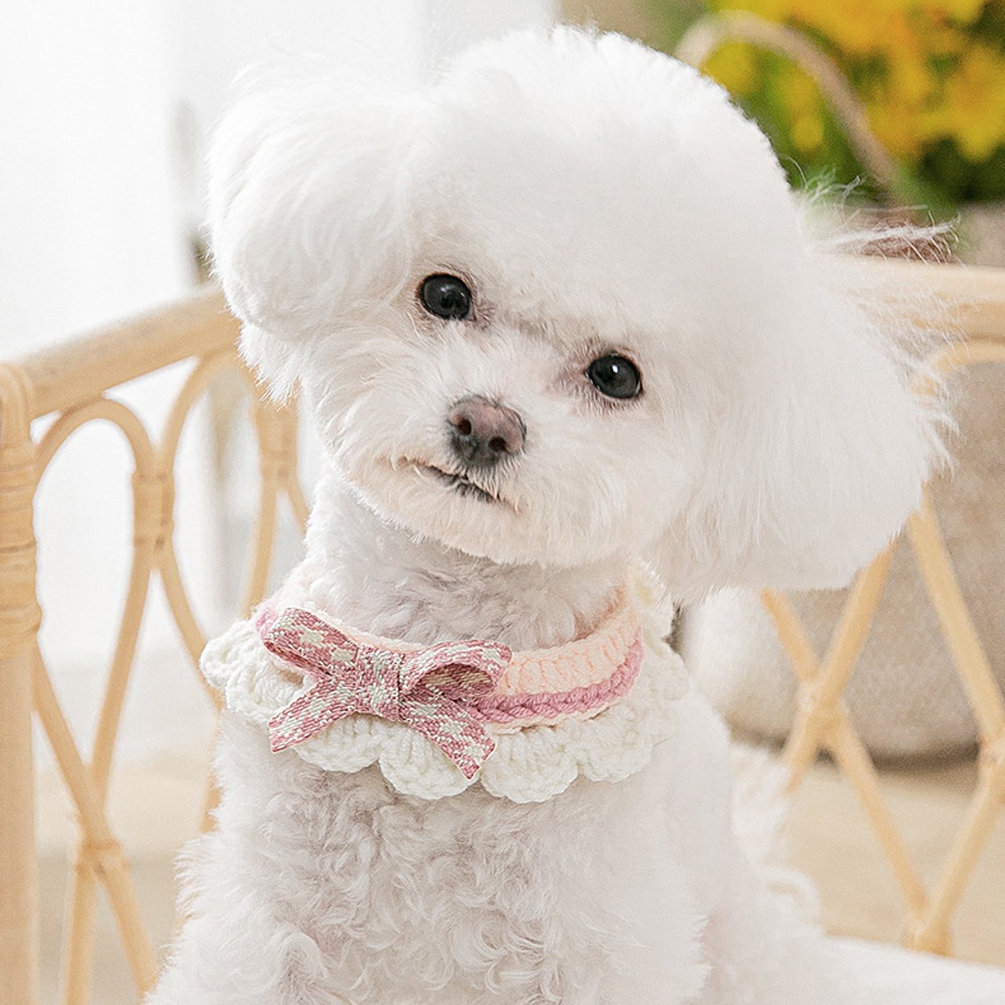 Lovely Crochet Pet Collar Cat Dog Neckwear.