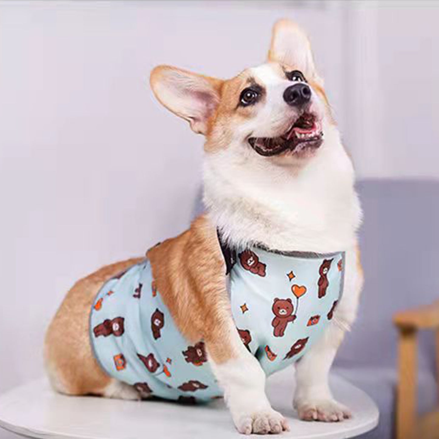 Waterproof Corgi Belly Protector for Short-Legged Dogs