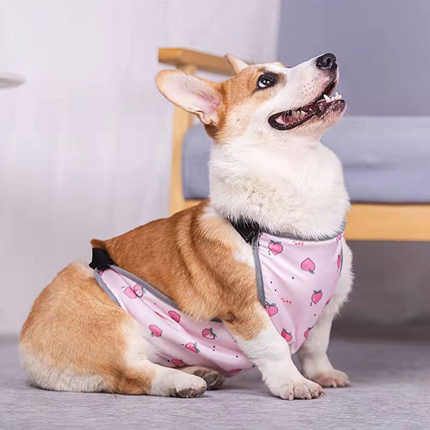 Waterproof Corgi Belly Protector for Short-Legged Dogs