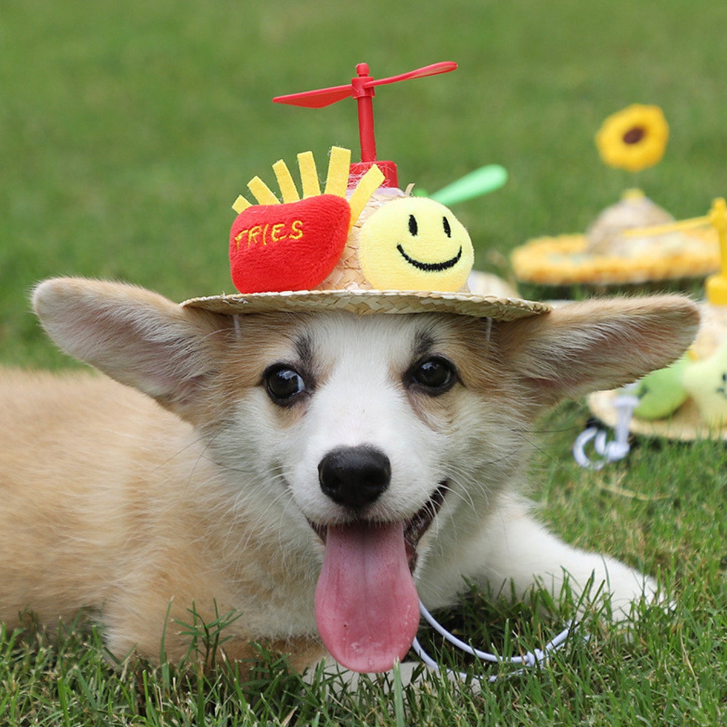 Pet Straw Hat Dragonfly Style Mini Dog Sombrero