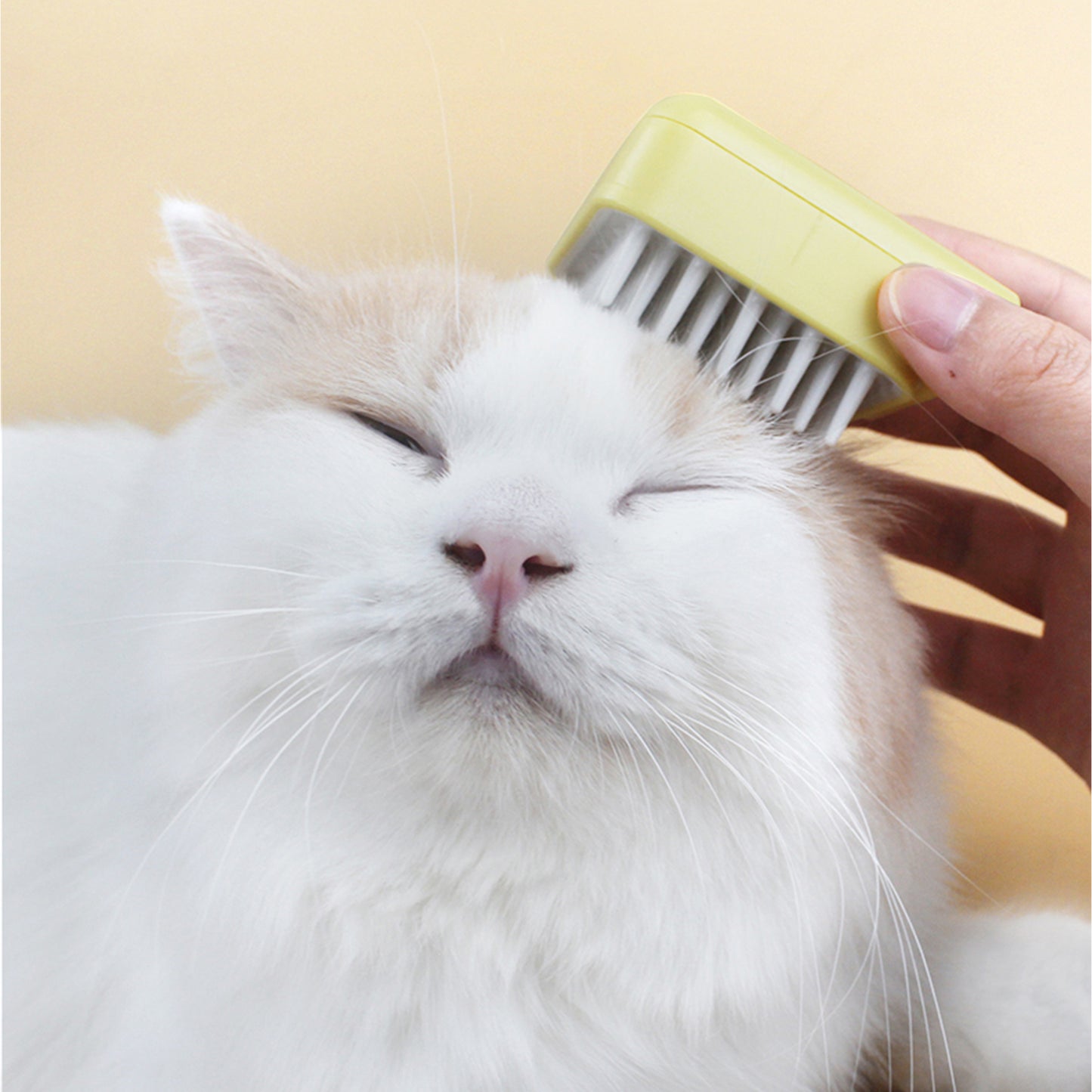 Square Puppy Cat Brush Dog Massage Combs